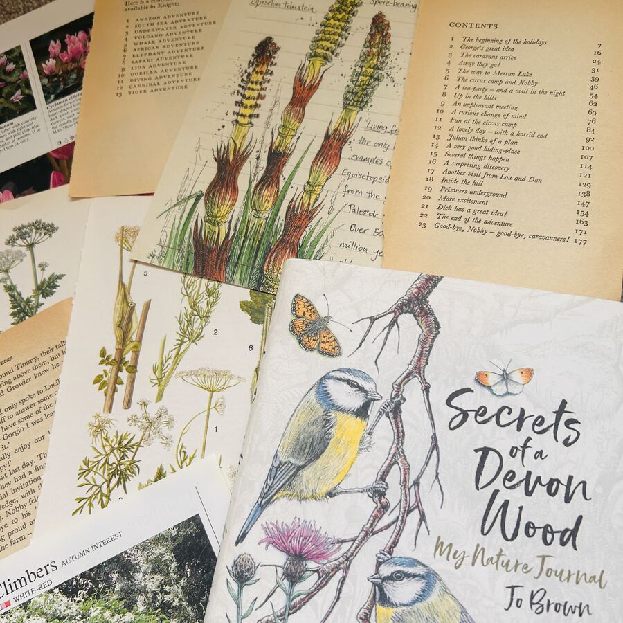 Nature journal covers, botanical prints and vintage book clippings