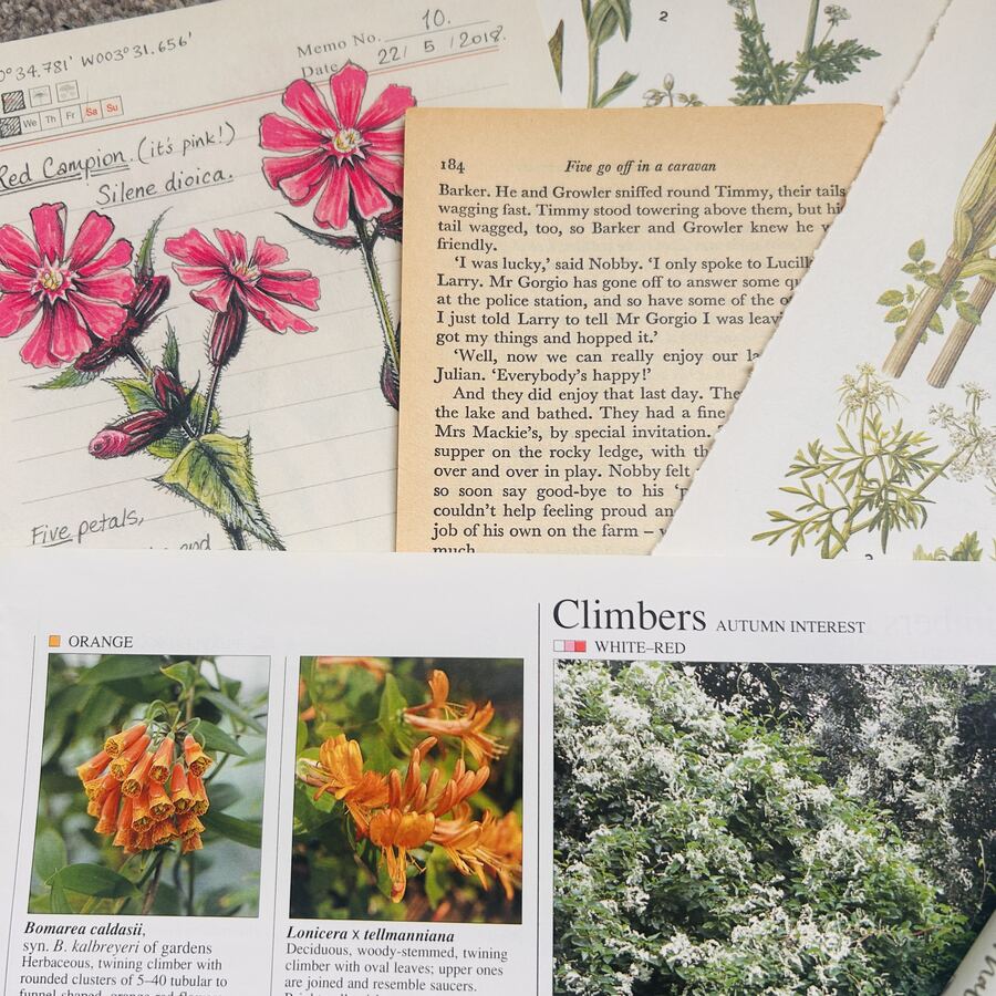 Botanical journal page with pressed flowers and vintage book clippings
