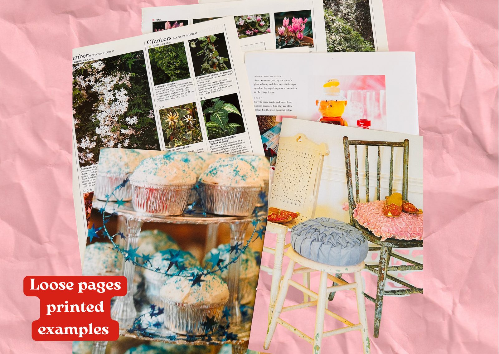 Loose printed pages — climbing plants, a vintage chair and cupcakes