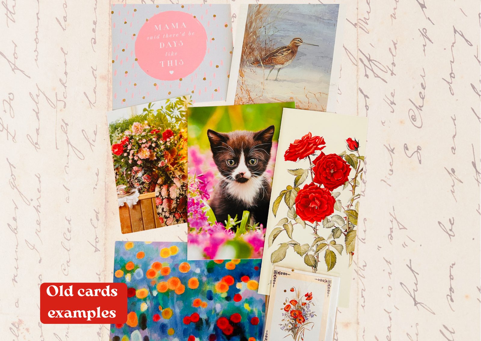 Vintage greeting cards — a kitten, red roses and floral bouquets